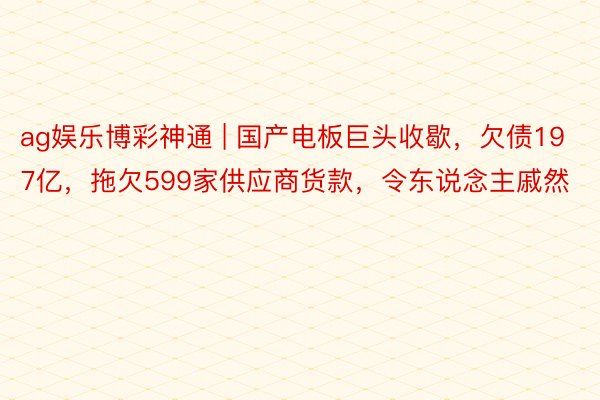 ag娱乐博彩神通 | 国产电板巨头收歇，欠债197亿，拖欠599家供应商货款，令东说念主戚然