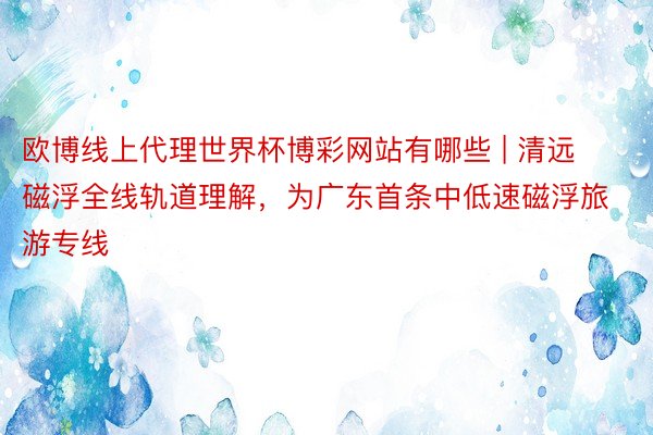 欧博线上代理世界杯博彩网站有哪些 | 清远磁浮全线轨道理解，为广东首条中低速磁浮旅游专线