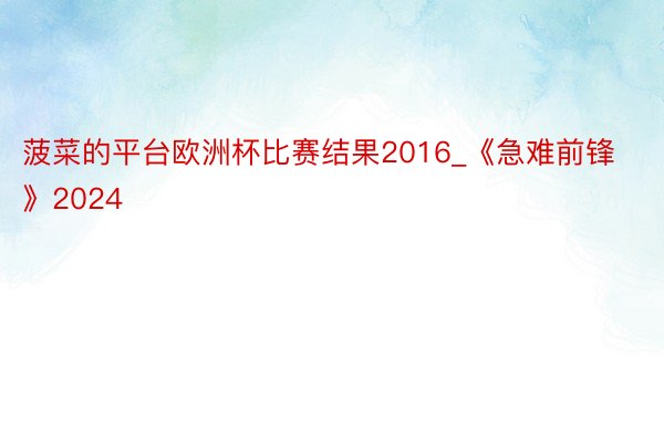 菠菜的平台欧洲杯比赛结果2016_《急难前锋》2024